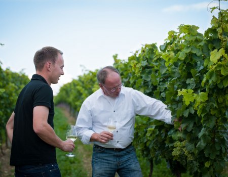 Weingut_Fritzsch_Sprendlingen_k Weingut_Fritzsch_Sprendlingen_k