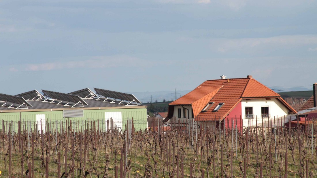 maat1, © Weingut Groebe am Bergkloster maat1, © Weingut Groebe am Bergkloster