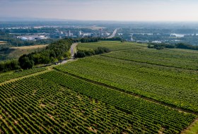 Hechtsheimer Kirchenstück Hechtsheimer Kirchenstück