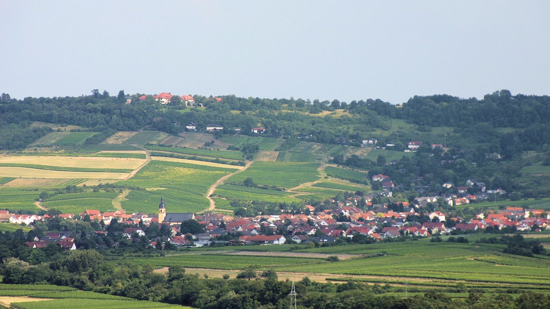 FamilienWeinGut Feser_Panorama, © FamilienWeinGut Feser FamilienWeinGut Feser_Panorama, © FamilienWeinGut Feser