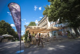 Wormser Vinothek Wormser Vinothek