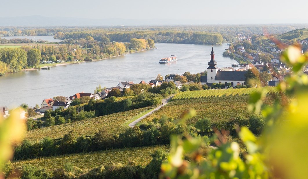 Nierstein 0145675_georg-knoll-30, © Weingut Heise am Kranzberg Nierstein 0145675_georg-knoll-30, © Weingut Heise am Kranzberg