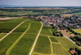 Appenheimer Eselspfad Appenheimer Eselspfad