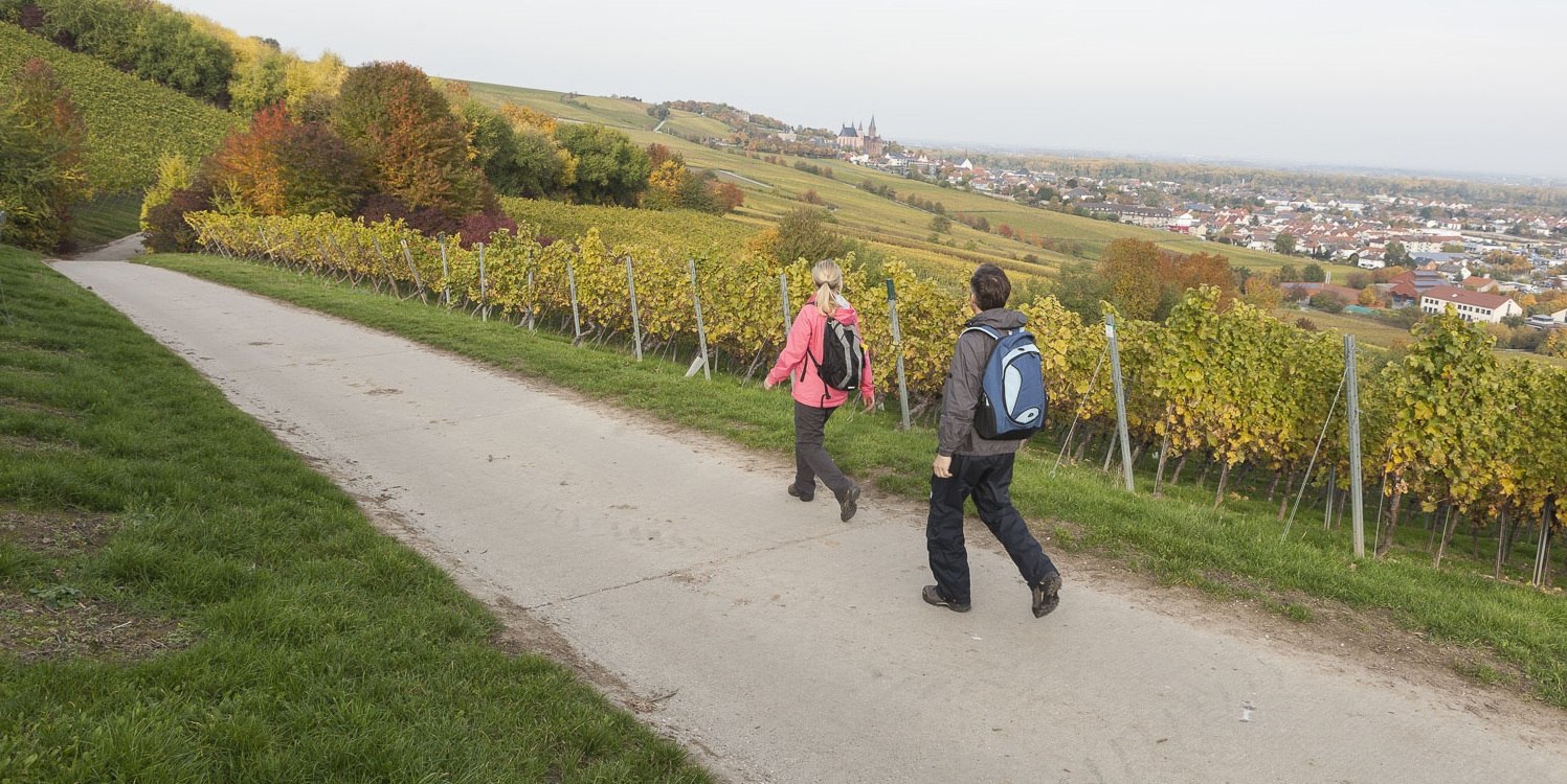 Blick über Oppenheim, © Michael Zellmer Blick über Oppenheim, © Michael Zellmer