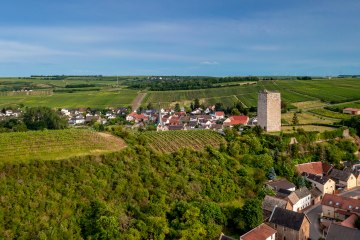 Niersteiner Schloß Schwabsburg Niersteiner Schloß Schwabsburg