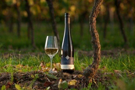 wine bottle, © Weingut Zimmer-Mengel wine bottle, © Weingut Zimmer-Mengel