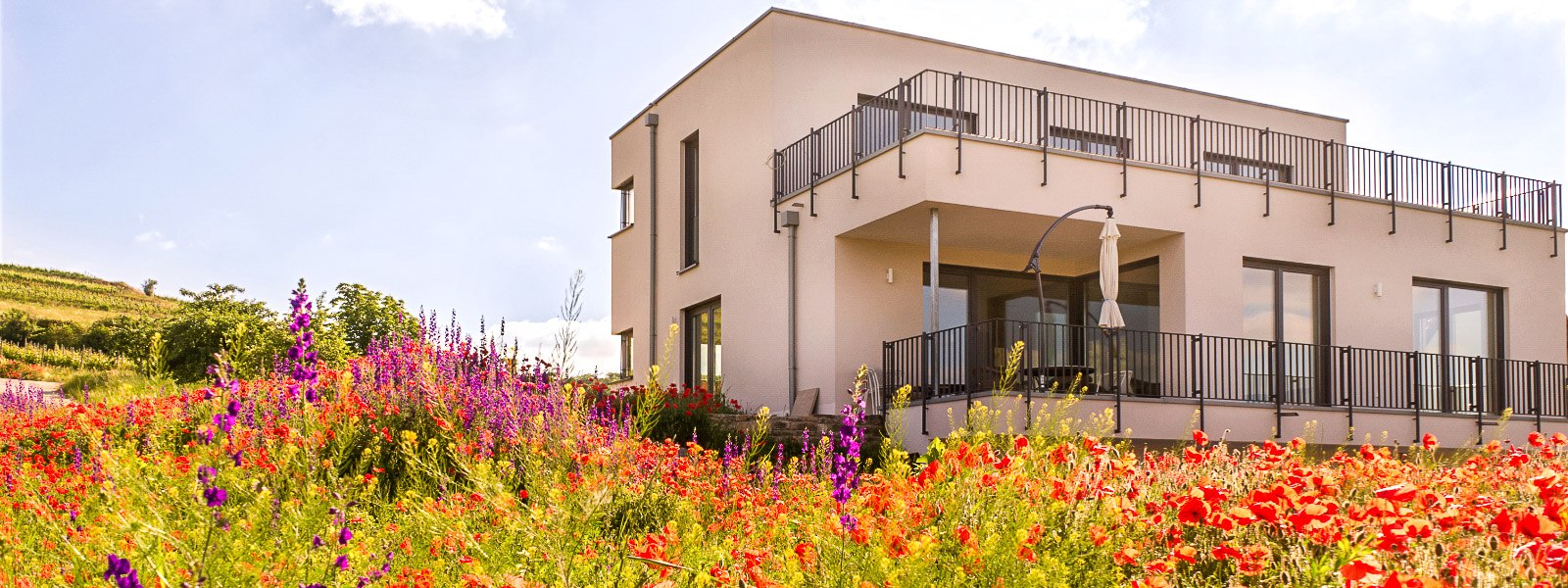 Vinothek, © Weingut Weitzel Vinothek, © Weingut Weitzel