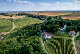 Dittelsheimer Kloppberg Dittelsheimer Kloppberg