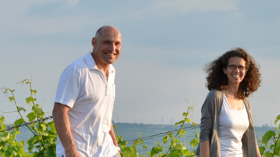 © Weingut Dätwyl © Weingut Dätwyl