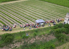 Weinausschank Weinausschank