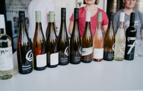 Weingut Finkenauer 02 © Weingut Finkenauer Weingut Finkenauer 02 © Weingut Finkenauer