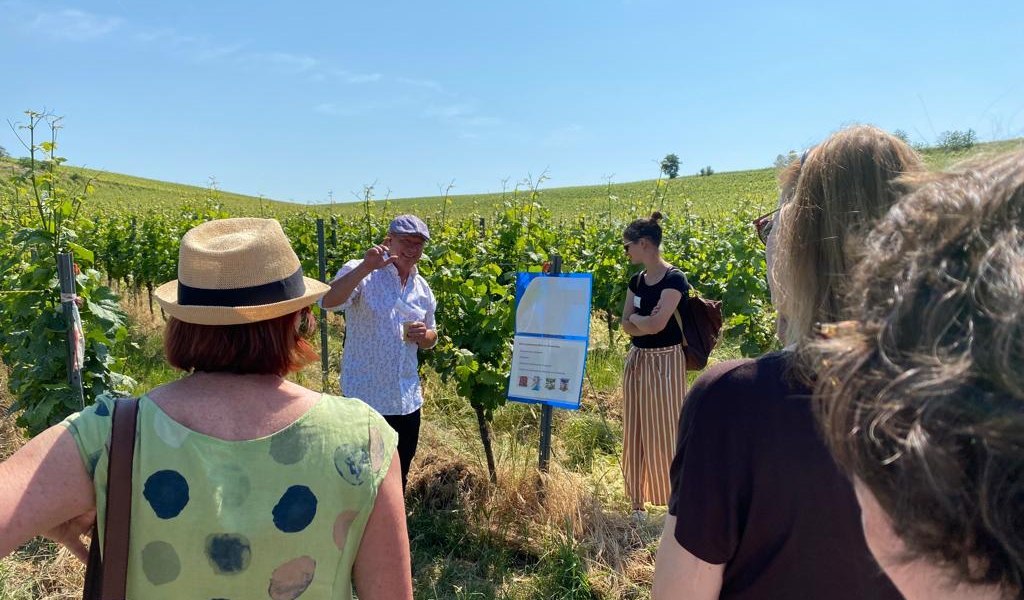 After Work Winewalk, © Guido Borowski After Work Winewalk, © Guido Borowski