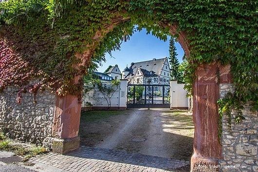 Schloss und Prauenmühle © Stadt Ingelheim/ml Schloss und Prauenmühle © Stadt Ingelheim/ml
