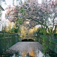 Museum mit Park Museum mit Park
