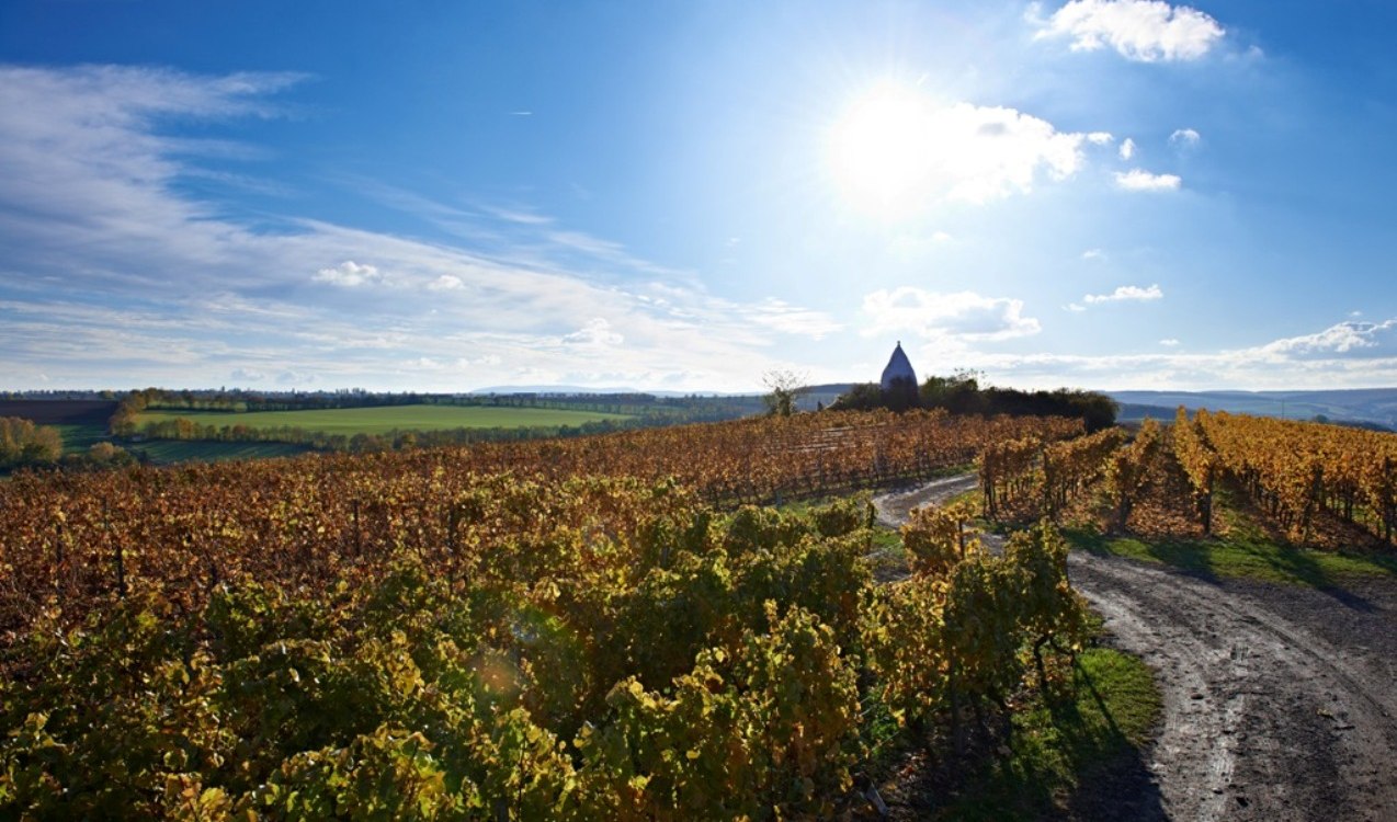 Herbstlandschaft in vielen Farben Rheinhessen Herbstlandschaft in vielen Farben Rheinhessen