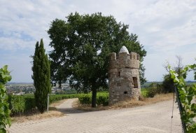 Weinbergshäuschen Weinbergshäuschen