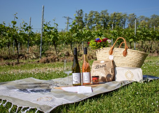 JUWEL Weinpicknick zwischen den Zeilen in Alsheim JUWEL Weinpicknick zwischen den Zeilen in Alsheim