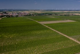 Offsteiner Engelsberg Offsteiner Engelsberg