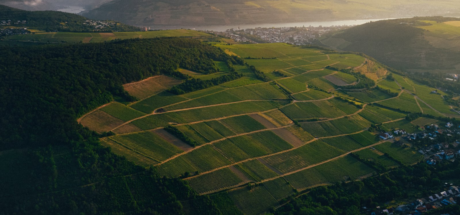 KRUGERRUMPF_23©PETERBENDER_050, © Peter Bender KRUGERRUMPF_23©PETERBENDER_050, © Peter Bender