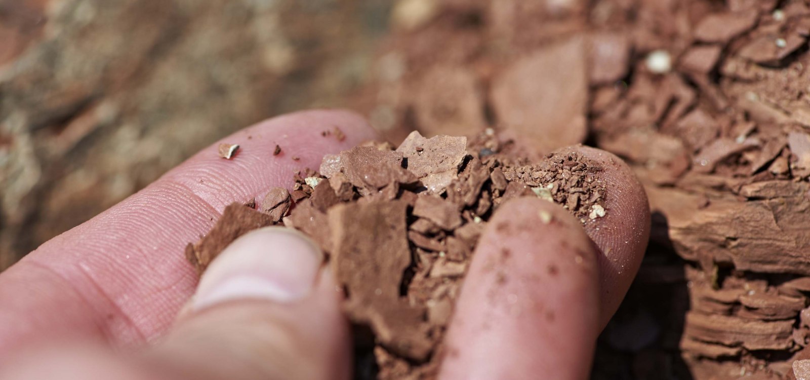 terroir terroir