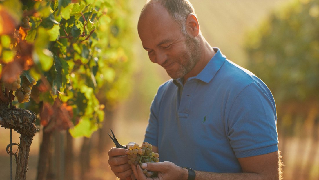 © Weingut Dr. Koehler © Weingut Dr. Koehler