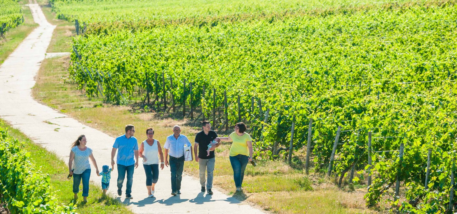 wgt-hammen-1, © Weingut Hammen wgt-hammen-1, © Weingut Hammen