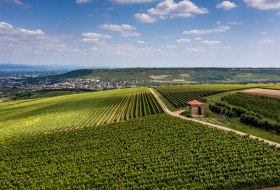Ockenheimer St. Jakobsberg Ockenheimer St. Jakobsberg