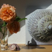 Guten Morgen © Schäffer Weinolsheim Guten Morgen © Schäffer Weinolsheim