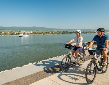 Der Rheinradweg in Rheinhessen, © Dominik Ketz Der Rheinradweg in Rheinhessen, © Dominik Ketz