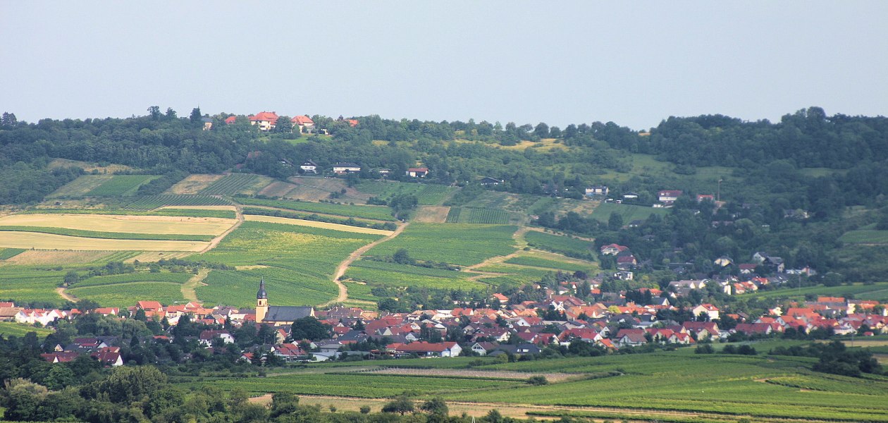 FamilienWeinGut Feser_Panorama, © FamilienWeinGut Feser FamilienWeinGut Feser_Panorama, © FamilienWeinGut Feser