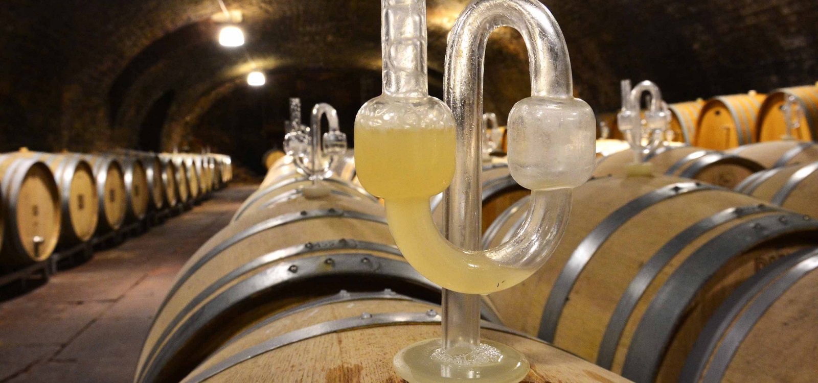 Fermentation _ DWI, © DWI Fermentation _ DWI, © DWI