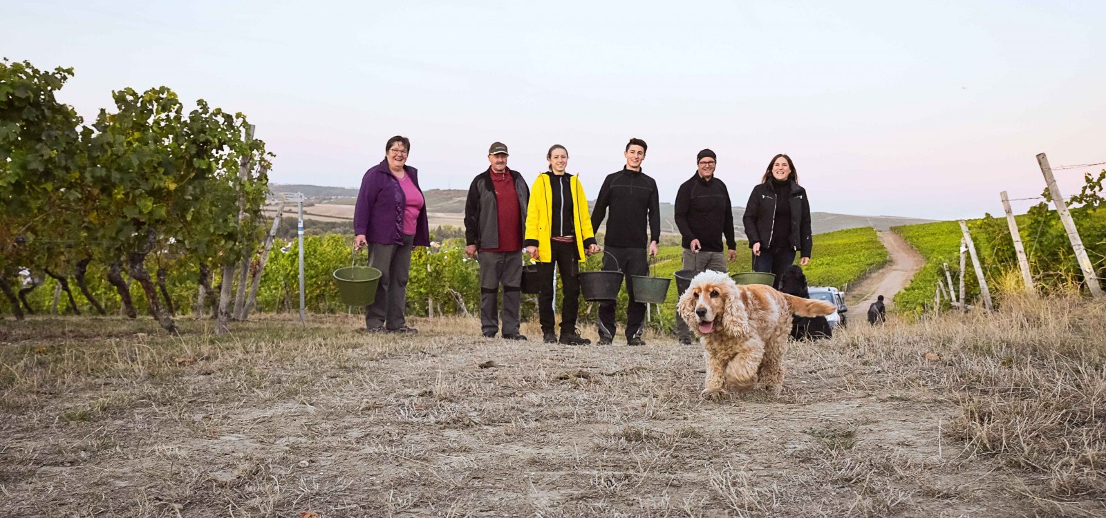 © Weingut Eppelmann © Weingut Eppelmann