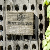 weingut_philipp_mueller weingut_philipp_mueller