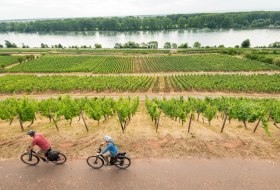 Radfahren am Roten Hang mit Blick auf den Rhein © Dominik Ketz Radfahren am Roten Hang mit Blick auf den Rhein © Dominik Ketz