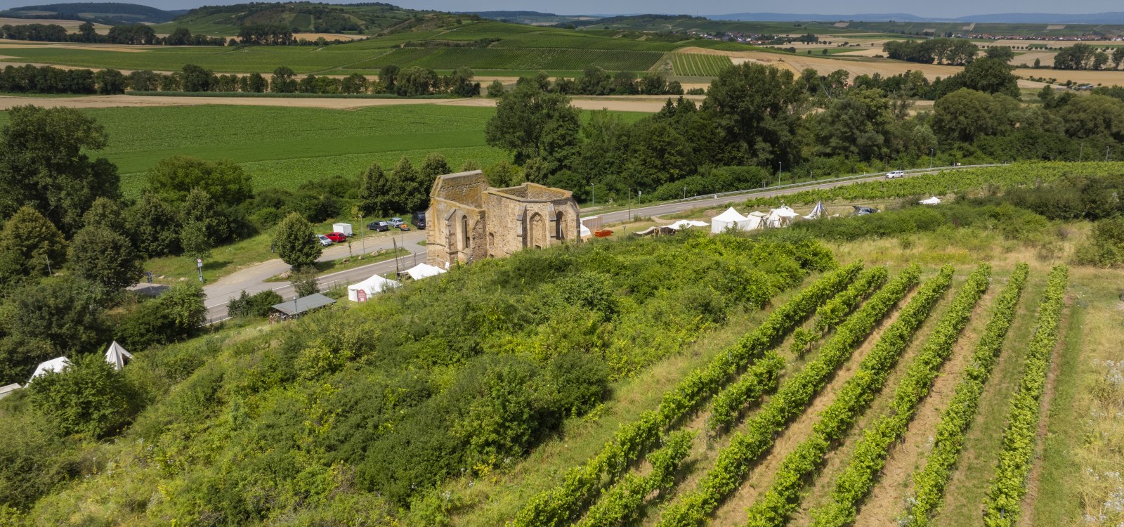 Eckelsheimer Eseltreiber, © Torsten Silz Eckelsheimer Eseltreiber, © Torsten Silz