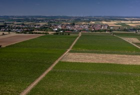 Offsteiner Engelsberg Offsteiner Engelsberg