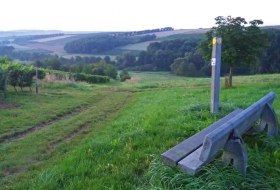 Bank der Herzen – meine Lieblingsbank auf dem Laurenziberg an einem frühen Spätsommermorgen. (c) Heike Tharun Bank der Herzen – meine Lieblingsbank auf dem Laurenziberg an einem frühen Spätsommermorgen. (c) Heike Tharun