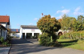 Weingut Holthof_Einfahrt © Rheinhessen-Touristik Weingut Holthof_Einfahrt © Rheinhessen-Touristik