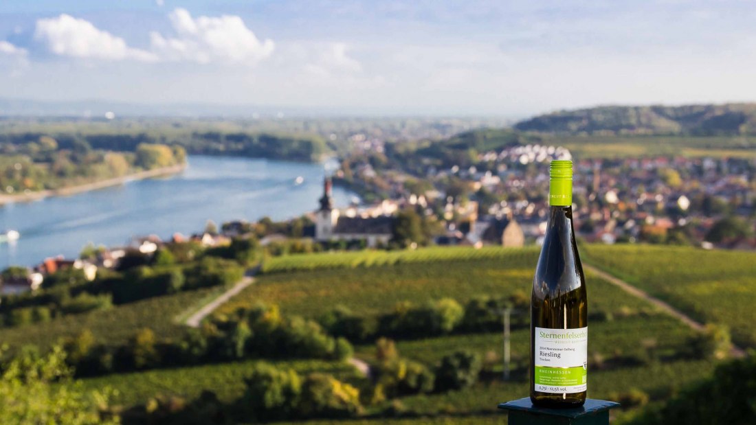 winery-kopp-sternenfelserhof-look-on-the-red-hang-internet, © Weingut Sternenfelserhof winery-kopp-sternenfelserhof-look-on-the-red-hang-internet, © Weingut Sternenfelserhof