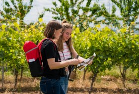 Picknick-Rucksack © Weingut Dorst GbR Picknick-Rucksack © Weingut Dorst GbR