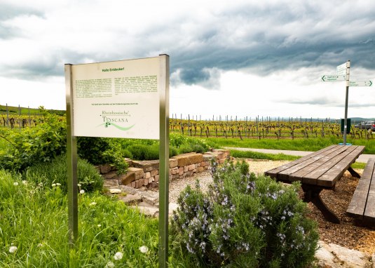 Horrweiler - Tisch des Weines © Rheinhessen-Touristik GmbH, Katja Zentel Horrweiler - Tisch des Weines © Rheinhessen-Touristik GmbH, Katja Zentel