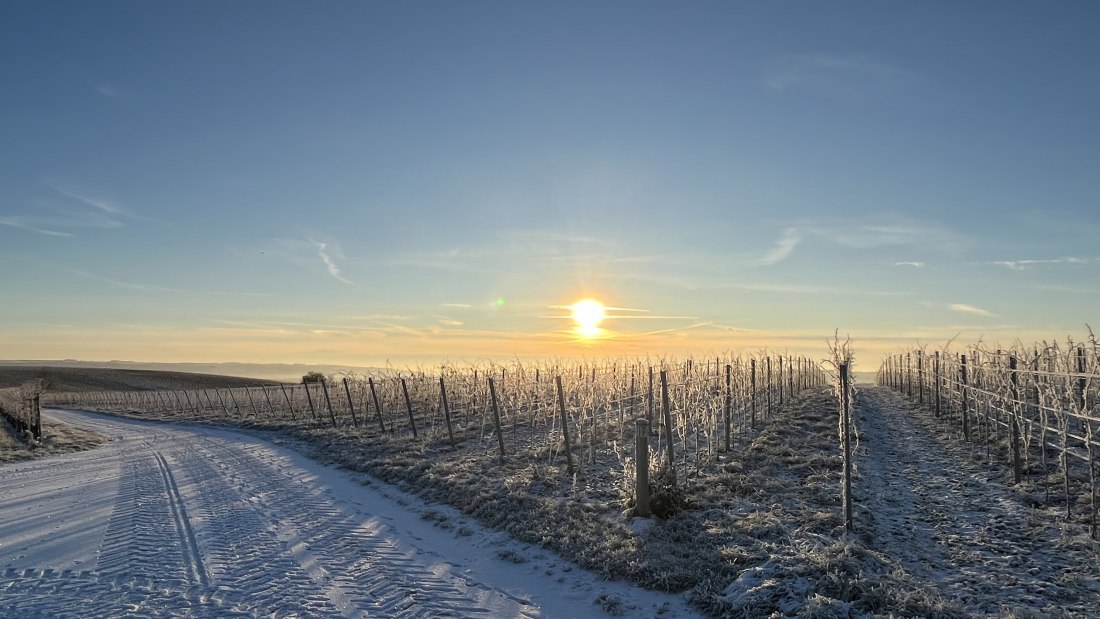 Bio Weingut Hellmich_Schnee, © Bio Weingut Hellmich Bio Weingut Hellmich_Schnee, © Bio Weingut Hellmich