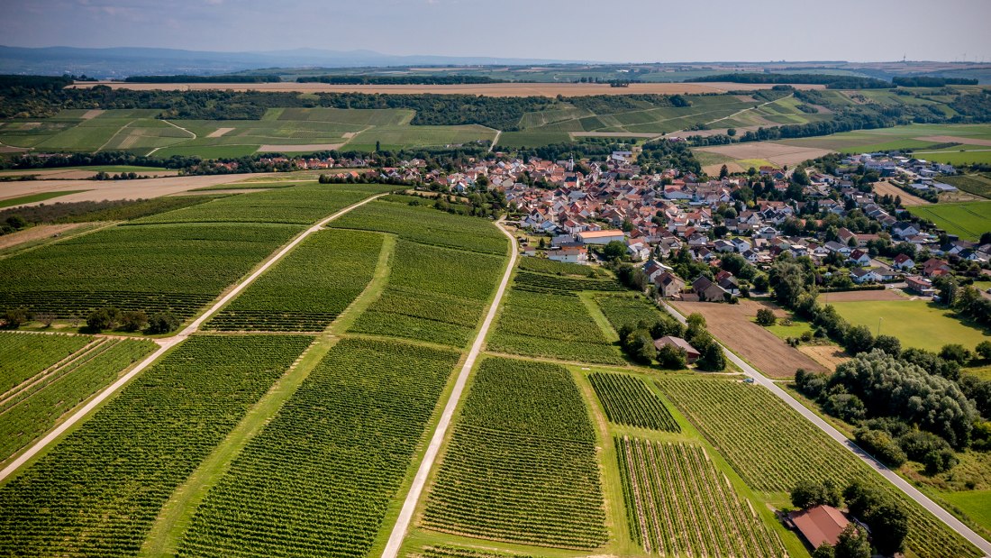 Appenheimer Eselspfad Appenheimer Eselspfad