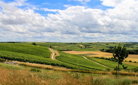 klima-rheinhessen klima-rheinhessen