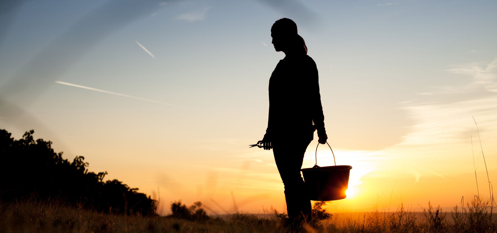 Weingut Schittler & Becker_Sonnenuntergang, © Weingut Schittler & Becker Weingut Schittler & Becker_Sonnenuntergang, © Weingut Schittler & Becker