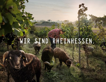Titelfoto Wir sind Rheinhessen, © David Maupilé