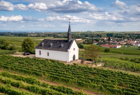 Abenheimer Klausenberg © Torsten Silz Abenheimer Klausenberg © Torsten Silz