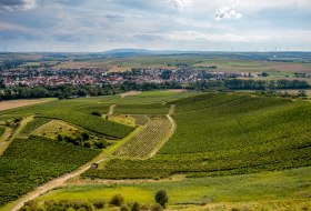 Gau-Odernheimer Herrgottspfad Gau-Odernheimer Herrgottspfad