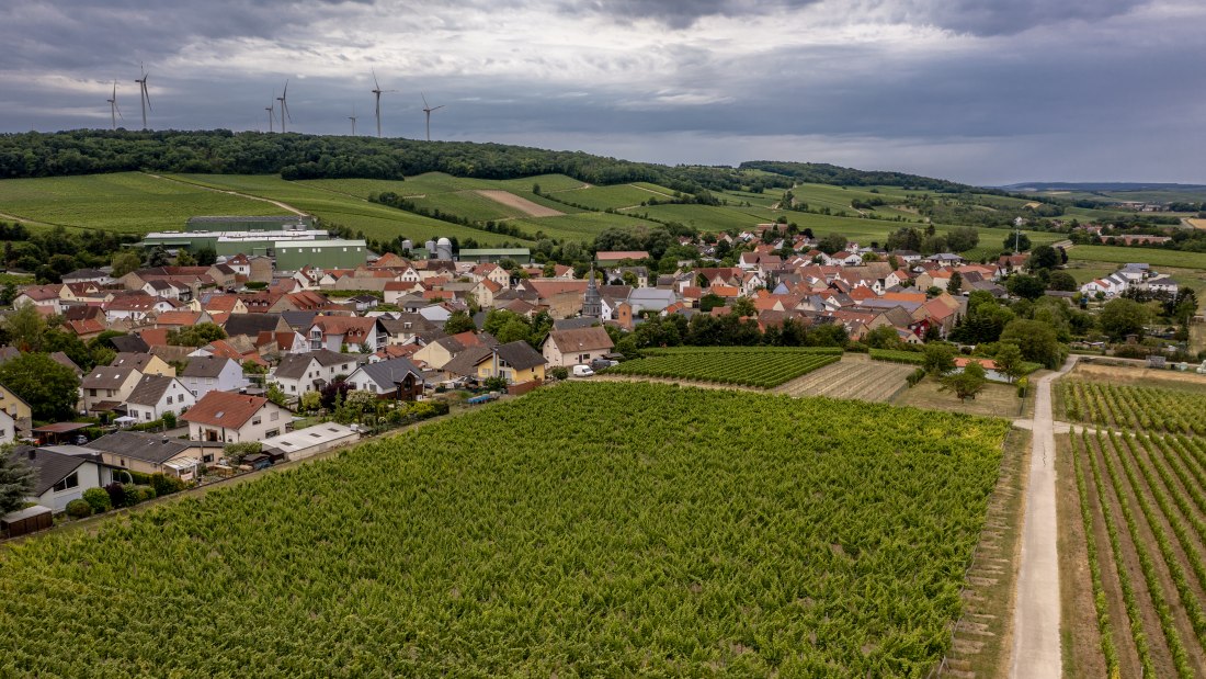 Lonsheimer Mandelberg Lonsheimer Mandelberg
