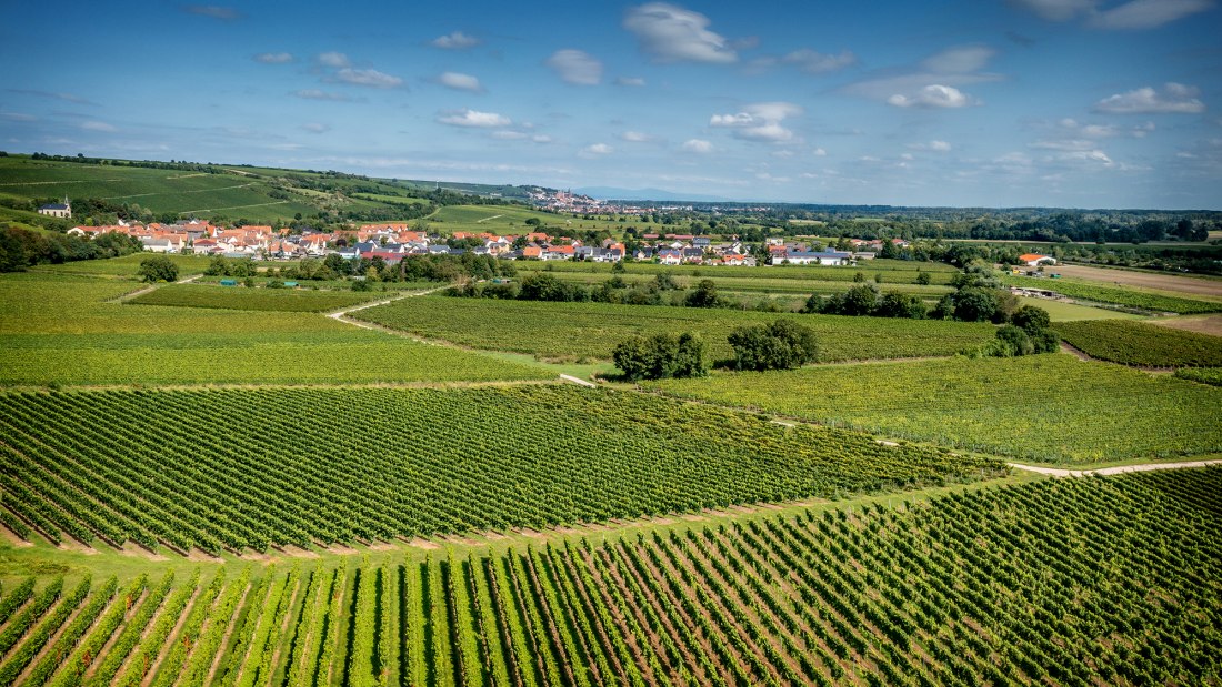Ludwigshöher Teufelskopf Ludwigshöher Teufelskopf